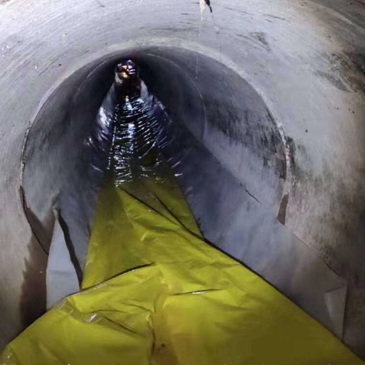 和布克赛尔管道光固化修复